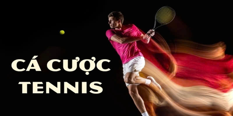 Cá cược Tennis đặc sắc, đa dạng